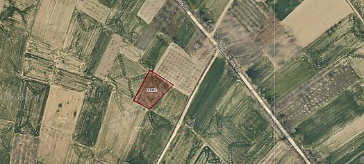 Bozanönün'de 1600 M2 Satilik Tarla