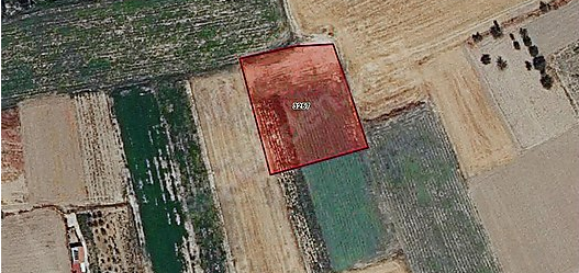 Bozanönü Köyün'de 2.280 M2 Satilik Tarla