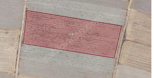 Bozanönü Köyün'de 9866M2 Satilik Tarla