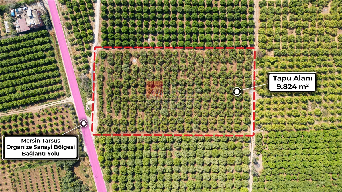 Tarsus Osb'ye 2 Km Mesafede 9800 M2 Satilik Arsa