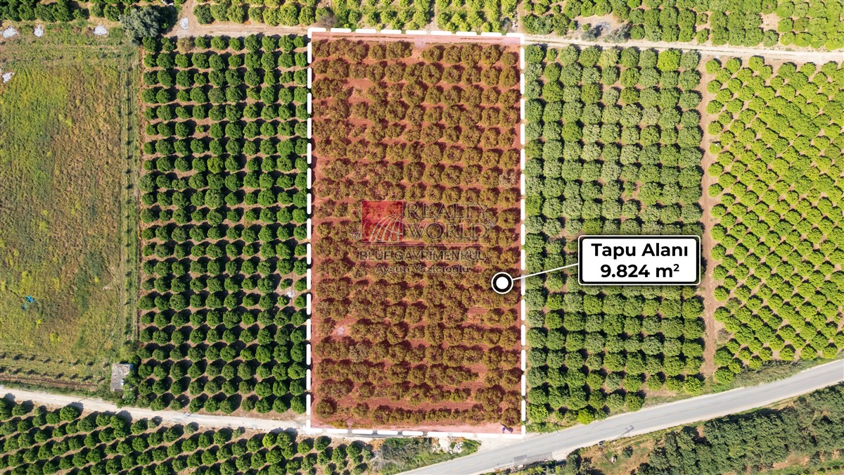 Tarsus Osb'ye 2 Km Mesafede 9800 M2 Satilik Arsa