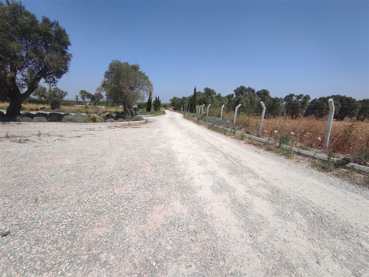 Urla Kuşçular'da Satilik Tarla